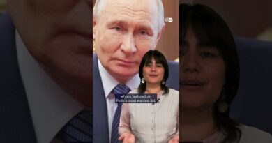 The fuel crisis in Russia: What are Putin’s options? | DW News