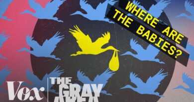 The global baby bust | The Gray Area
