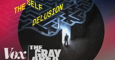 The illusion of the ‘self’ | The Gray Area