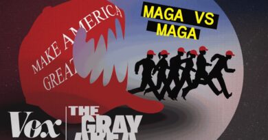 The MAGA stars freaked out by their own movement | The Gray Area