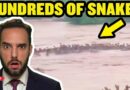 The Only Thing That Made The Floods Worse Were the Snakes