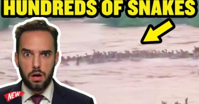 The Only Thing That Made The Floods Worse Were the Snakes