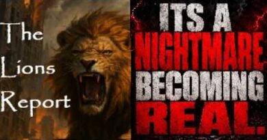 The Political Epstein Class… Mannarino