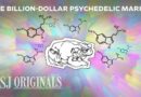 The Race to Commercialize the World’s Most Powerful Psychedelic | WSJ