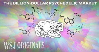The Race to Commercialize the World’s Most Powerful Psychedelic | WSJ