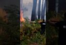 The relentless battle against France’s wildfires | DW News