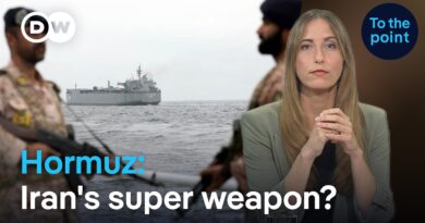 The Strait of Hormuz: Iran’s Most Powerful Weapon?  | DW News