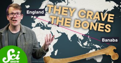 The Time England Ran Out of Bones