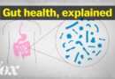 The truth about gut health