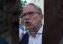“The window to ban the AfD may be closing” | DW News