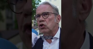 “The window to ban the AfD may be closing” | DW News