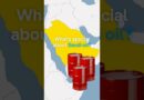 This is why we keep talking about Saudi Arabia’s oil | DW News