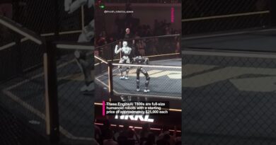 Those head kicks are actually so lethal😭🤖