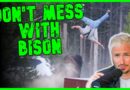 Tourist LAUNCHED INTO ORBIT By Charging Angry Bison | The Kyle Kulinski Show