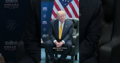 Trump Assails NATO Allies Over Iran and Greenland