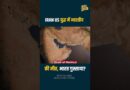 Trump, Iran क्यों दुनिया की मुश्किल बढ़ाने में लगे? Hormuz के झगड़े में भारतीय की भी मौत, आगे क्या?