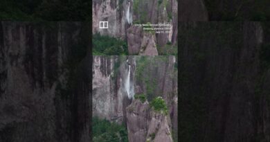 Typhoon Bavi causes ‘reverse waterfall’