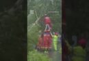 Typhoon Bavi makes landfall in eastern China