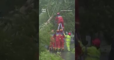 Typhoon Bavi makes landfall in eastern China