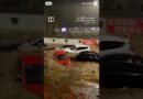 Typhoon Bavi triggers flooding in northern China