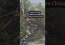 Typhoon Noul makes landfall in southern China
