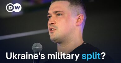 Ukraine: What’s behind Defense Minister Fedorov’s firing? | DW News