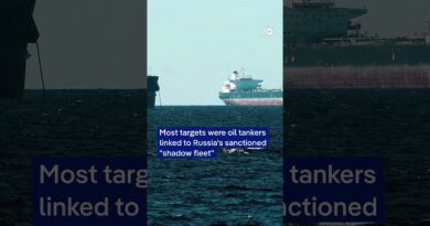 Ukrainian army strike more Russian fuel tankers | DW News