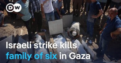 UN report condemns Israeli military action in Gaza | DW News