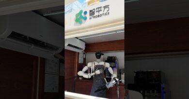 US bans imports of new Chinese robots and power inverters in latest tech crackdown