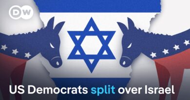 US Democrats divided over US support for Israel | DW News