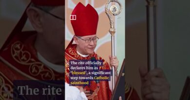 Vietnam hosts first-ever beatification rite