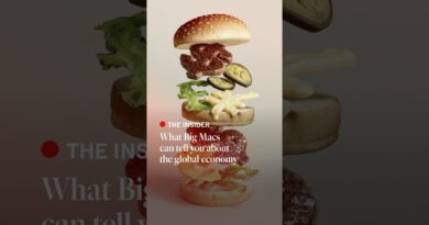 What Big Macs can tell you about the global economy | The Economist