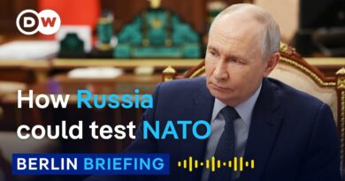 What do war games reveal about Europe’s security future? | Berlin Briefing Podcast