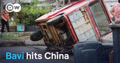 What Typhoon Bavi reveals about extreme storm risks in East Asia | DW News