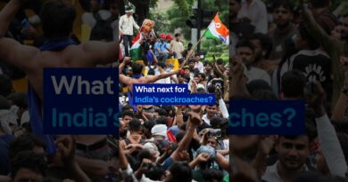 Where does India’s Cockroach movement go from here? | DW News
