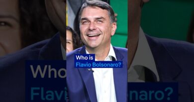 Who is Brazil’s Flavio Bolsonaro?  DW News