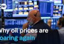 Why Brent crude is back up at $100 a barrel and how it could impact you | DW News