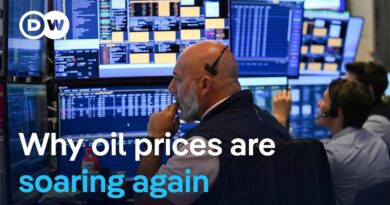 Why Brent crude is back up at $100 a barrel and how it could impact you | DW News