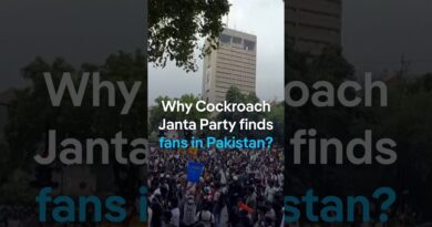 Why Cockroach Janta Party finds fans in Pakistan? | DW News