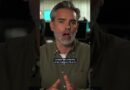 Why did the Vatican excommunicate a conservative Catholic sect? | DW News