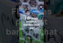 Why FIFA might fine Argentina players for celebrating with Falklands banner | DW News
