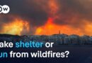 Why fleeing a wildfire can be deadly | DW News