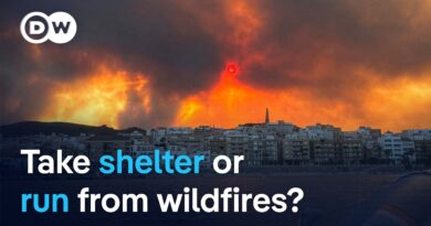 Why fleeing a wildfire can be deadly | DW News