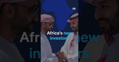 Why Gulf investors are targeting Africa | DW News