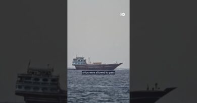 Why is Iran targeting ships again? | DW News