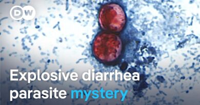 Why is the cyclospora diarrhea parasite spreading so quickly across the US? | DW News