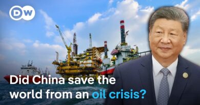 Why oil markets stabilized far faster than anticipated | DW News
