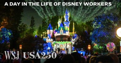 Why Operating Disneyland Is Like Running a Small City | WSJ
