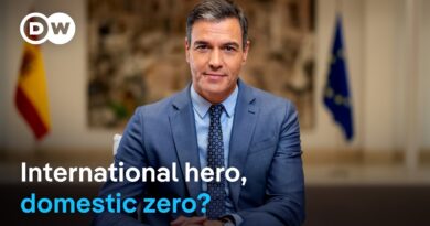 Why Pedro Sanchez is Europe’s great political survivor | DW News
