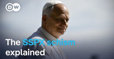 Why Pope Leo excommunicated members of the Society of St. Pius X | DW News